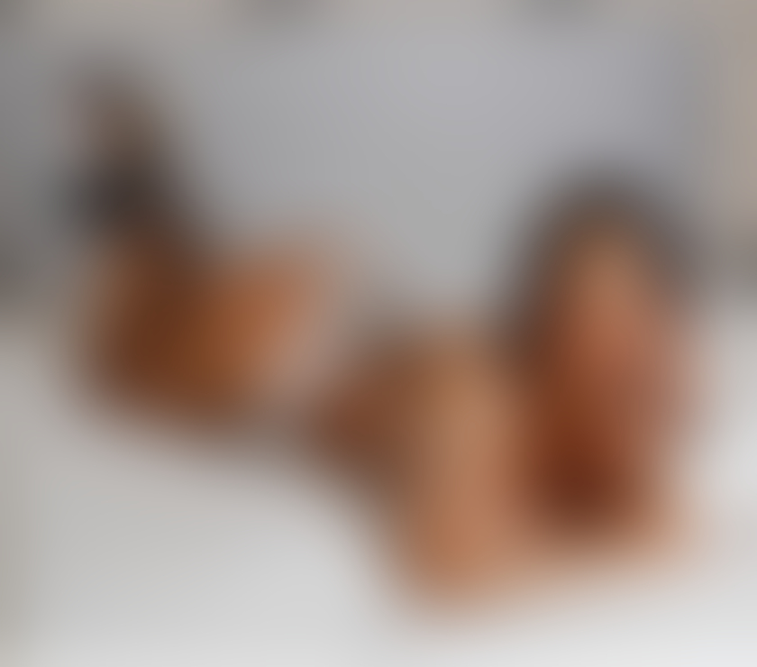 Trans Escorts West Yorkshire Leeds - Photos for Dominique TS TS